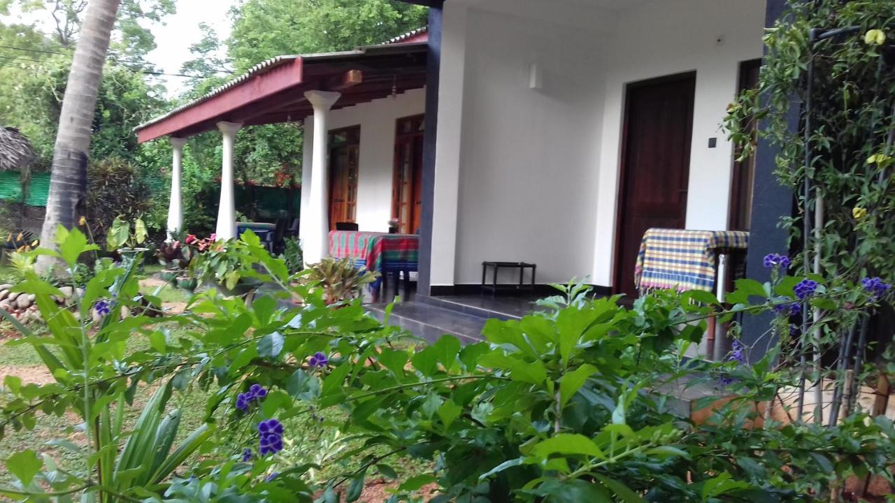 Sigiri Shen Residence Σιγκιρίγια Εξωτερικό φωτογραφία